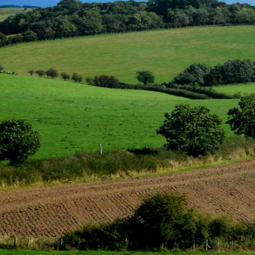 Agroindustrial
